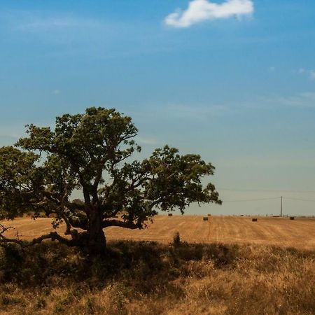 Vales Do Alentejo Konuk evi Bicos Dış mekan fotoğraf