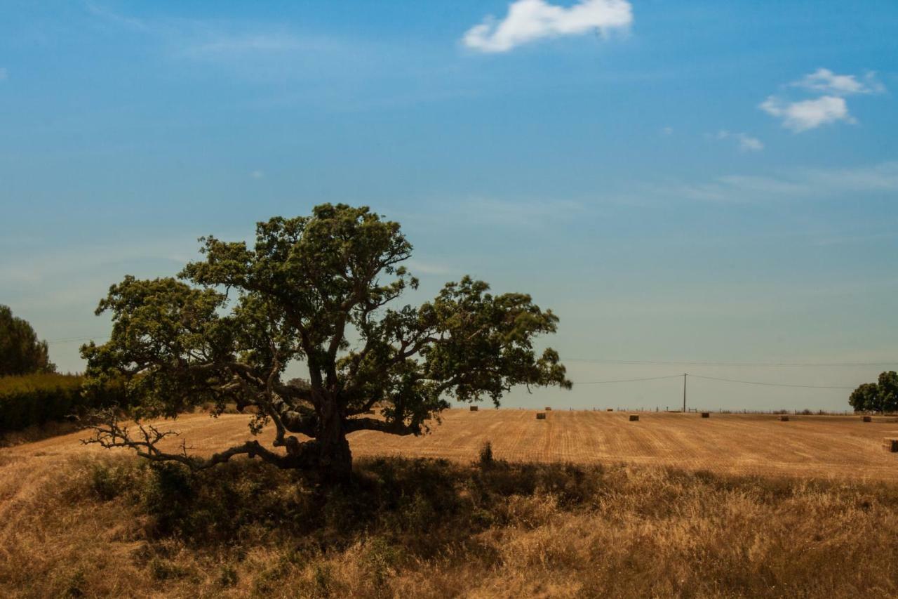 Vales Do Alentejo Konuk evi Bicos Dış mekan fotoğraf